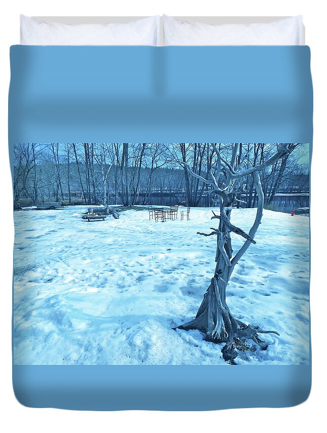 New England Landscape Duvet Cover featuring the photograph Housesitting 4 by George Ramos