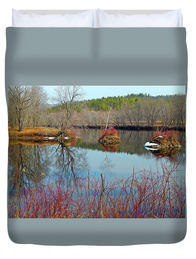 New England Landscape Duvet Cover featuring the photograph Housesitting 41 #1 by George Ramos