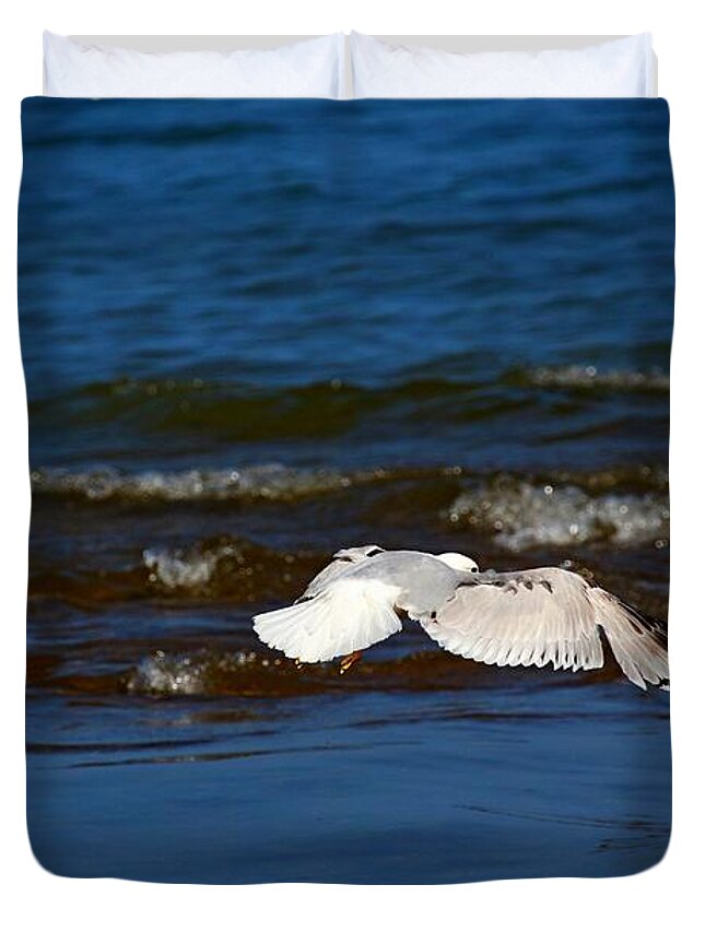 Bird Duvet Cover featuring the photograph Hovering by Amanda Struz
