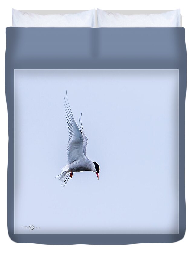 Hovering Arctric Tern Duvet Cover featuring the photograph Hovering Arctic Tern by Torbjorn Swenelius