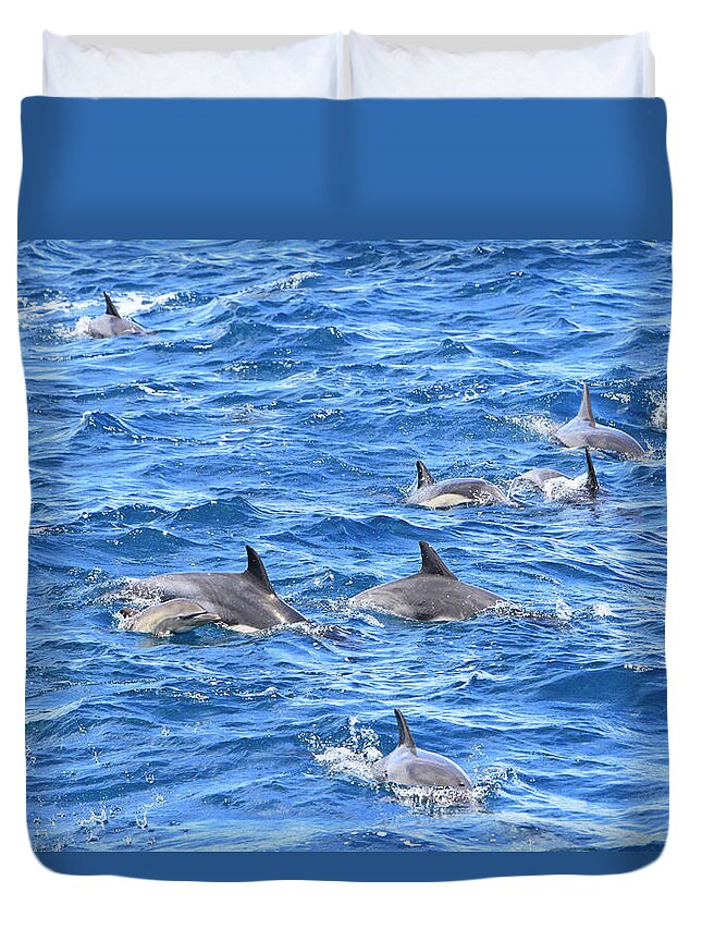 Dolphin Duvet Cover featuring the photograph How Many by Shoal Hollingsworth