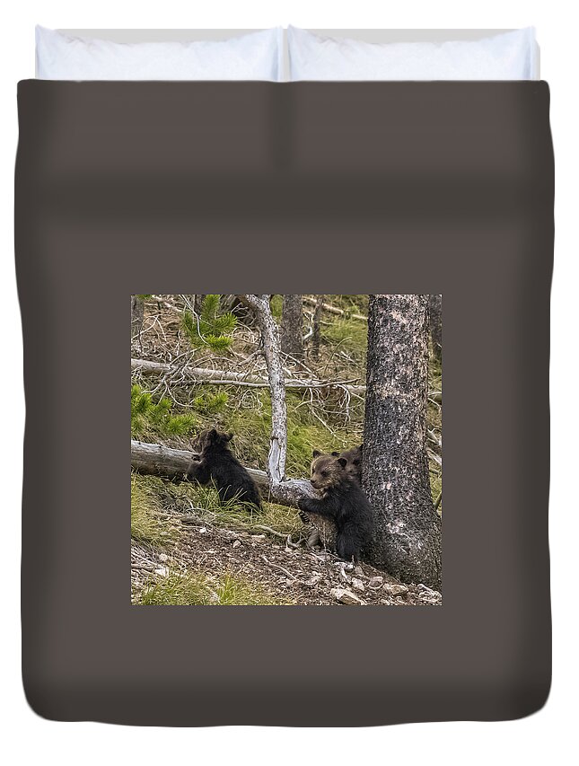 Grizzlies Duvet Cover featuring the photograph Hugging A Tree by Yeates Photography