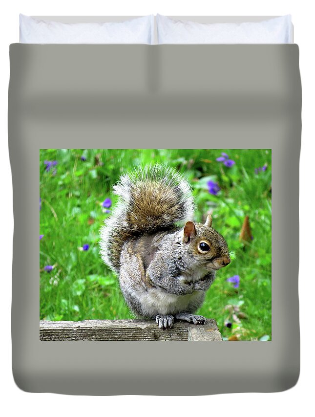 Eastern Grey Squirrels Duvet Cover featuring the photograph Humble Squirrel by Linda Stern