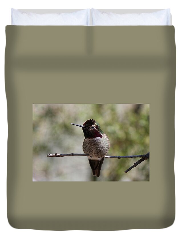 Hummingbird Duvet Cover featuring the photograph Hummingbird - 7 by Christy Pooschke