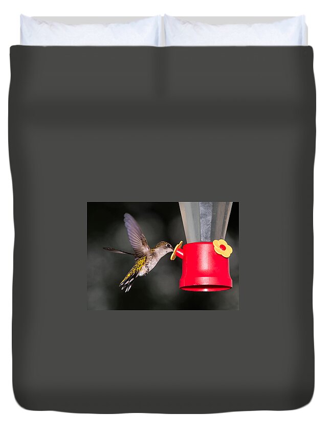 Hummingbird Duvet Cover featuring the photograph Hummingbird Gets A Drink by Holden The Moment