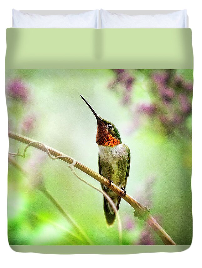 Hummingbird Duvet Cover featuring the mixed media Hummingbird Looking for Love by Christina Rollo