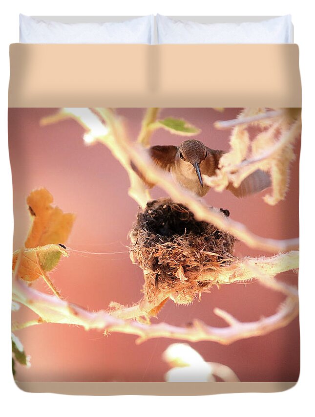 Hummingbird Duvet Cover featuring the photograph Hummingbird Nest by Brook Burling