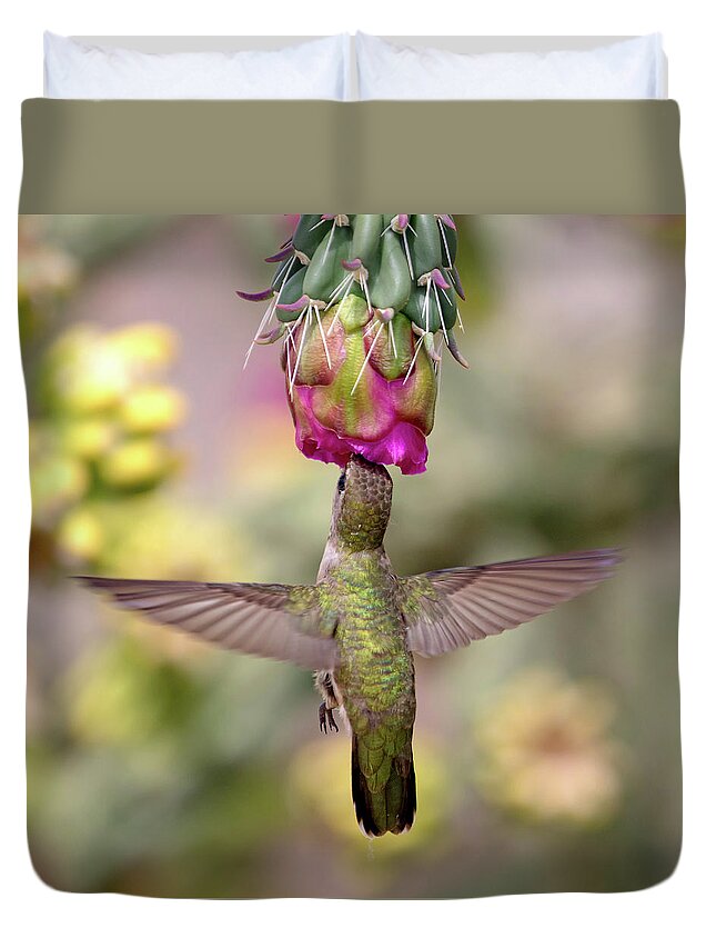 Hummingbird Duvet Cover featuring the photograph Hummingbird on Cholla Cactus by Mindy Musick King