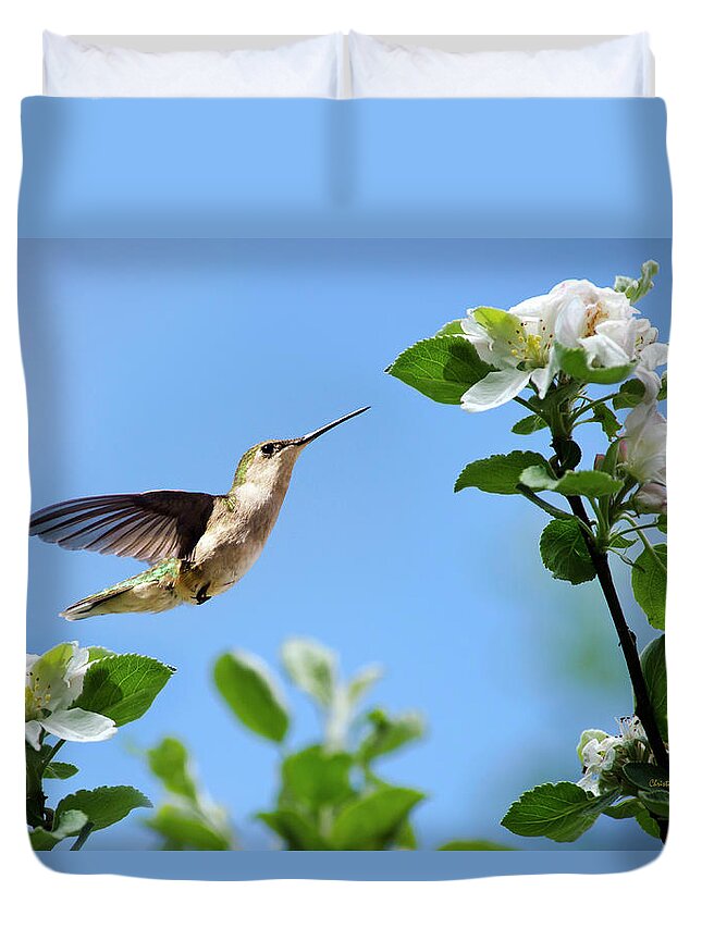 Birds Duvet Cover featuring the photograph Hummingbird Springtime by Christina Rollo