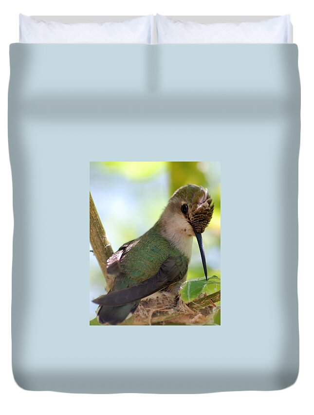 Hummingbird Duvet Cover featuring the photograph Hummingbird with small nest by Amy Fose