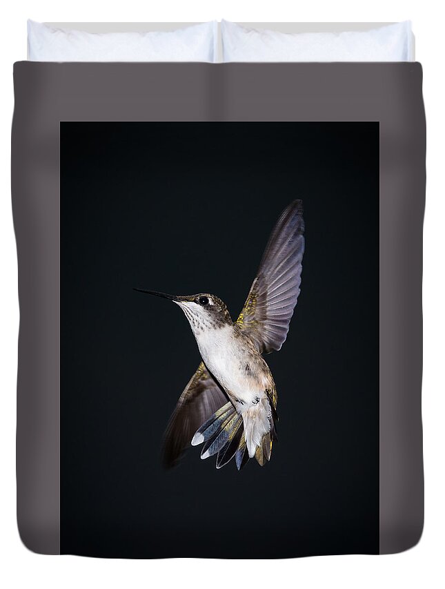 Hummingbird Duvet Cover featuring the photograph Hummingbird Yoga by Holden The Moment