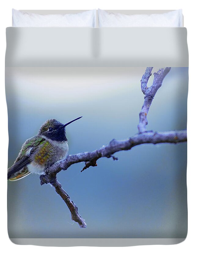 Hummingbird Duvet Cover featuring the photograph Hummingbird11 by Loni Collins