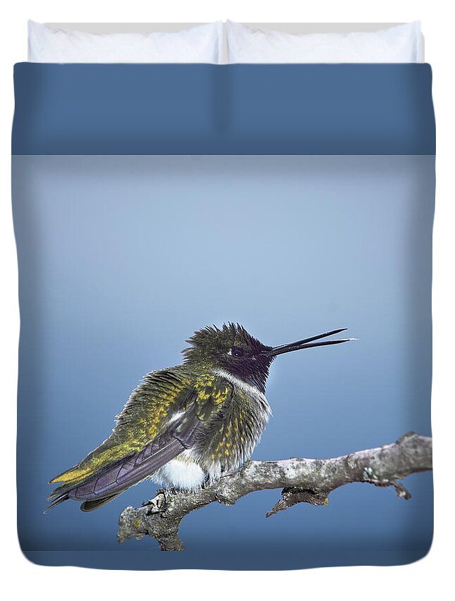 Hummingbird Duvet Cover featuring the photograph Hummingbird12 by Loni Collins