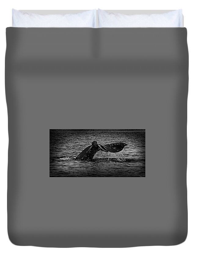 Humpback Duvet Cover featuring the photograph Humpback Tail 365-169 by Inge Riis McDonald