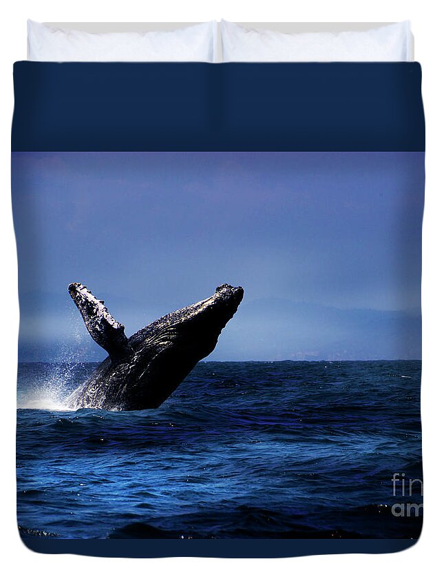 Fin Duvet Cover featuring the photograph Humpback Whale Breaching Near Puerto Lopez, Ecuador X by Al Bourassa