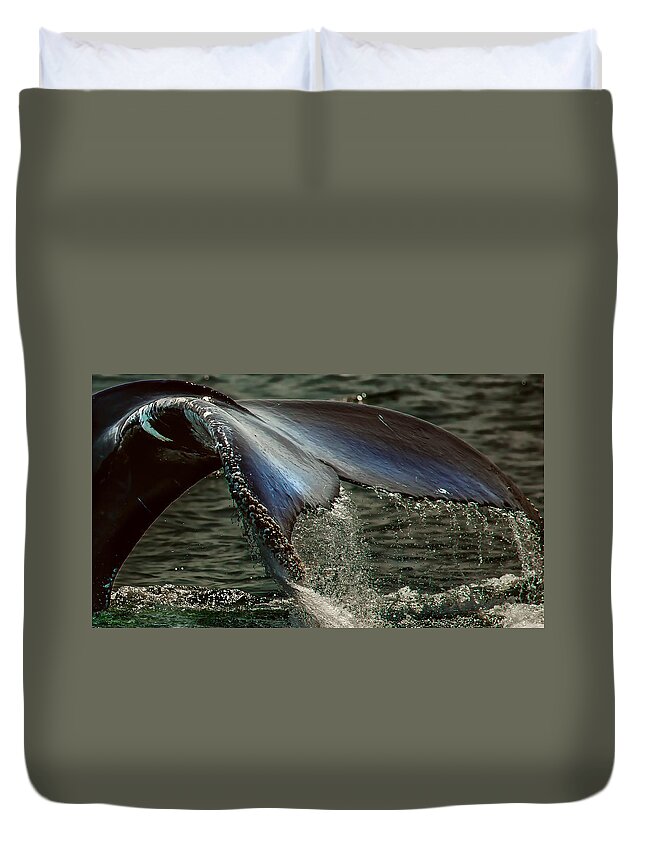 Humpback Duvet Cover featuring the photograph Humpback Whale Fluke by Darius Aniunas