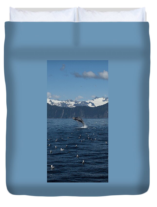 Alaska Duvet Cover featuring the photograph Humpback Whale Full Breach Portrait by Ian Johnson