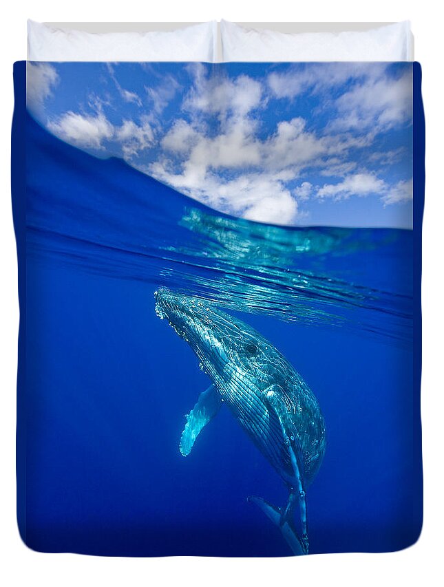 Hawaii Duvet Cover featuring the photograph Humpback Whale With Clouds by David Olsen