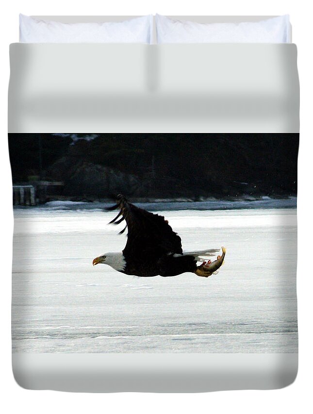 American Eagle Bird Flying Wings Fish Nature Wild Animal Duvet Cover featuring the photograph Hungry Eagle by Andrea Lawrence