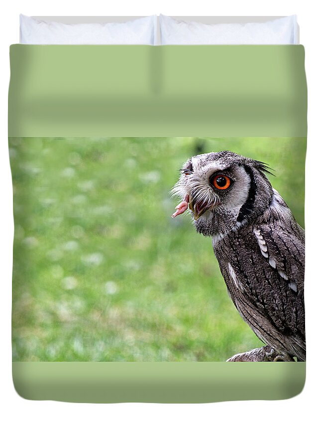 Birds Duvet Cover featuring the photograph Hunter Owl by Cliff Norton
