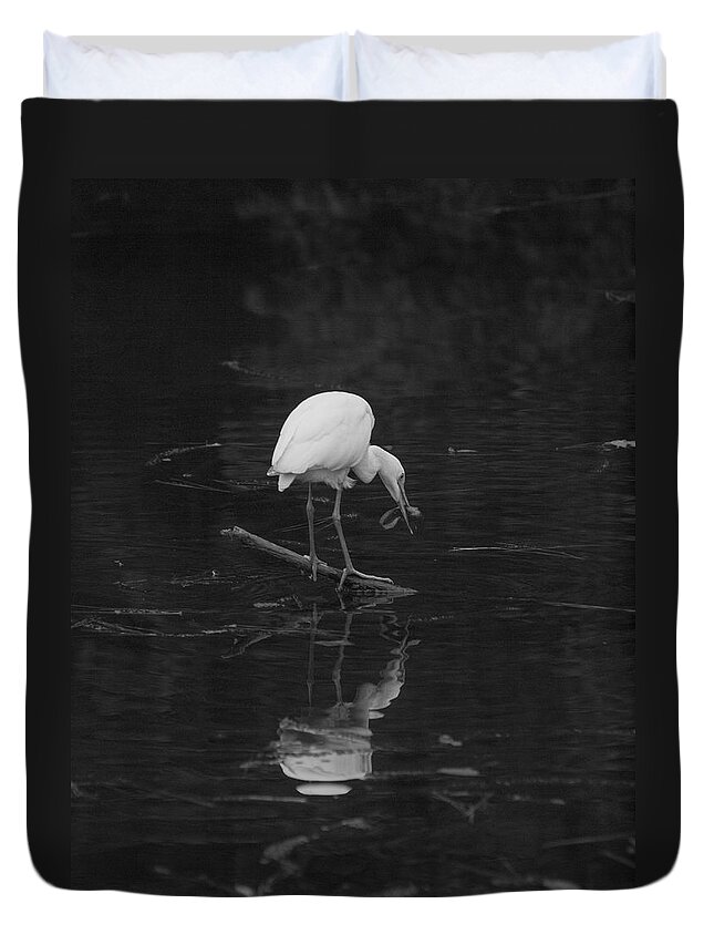 Egret Duvet Cover featuring the photograph Hunting Egret by Joshua House