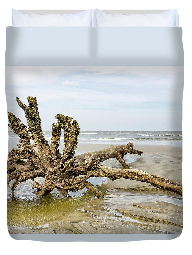 Tree Duvet Cover featuring the photograph Hurricane Victim by Fran Gallogly