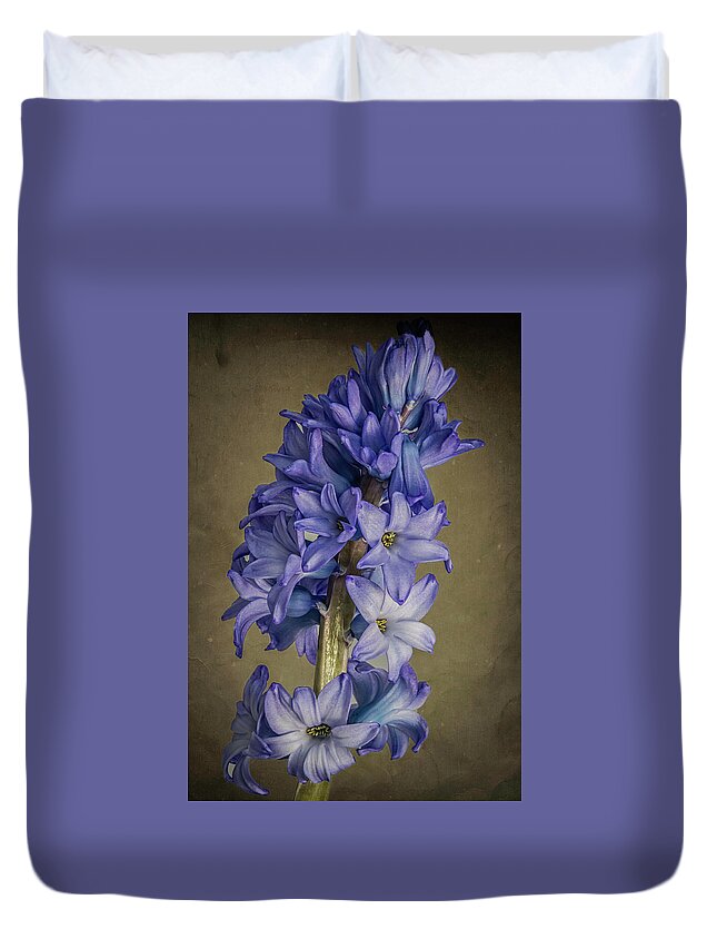 Flowers Duvet Cover featuring the photograph Hyacinth by John Roach