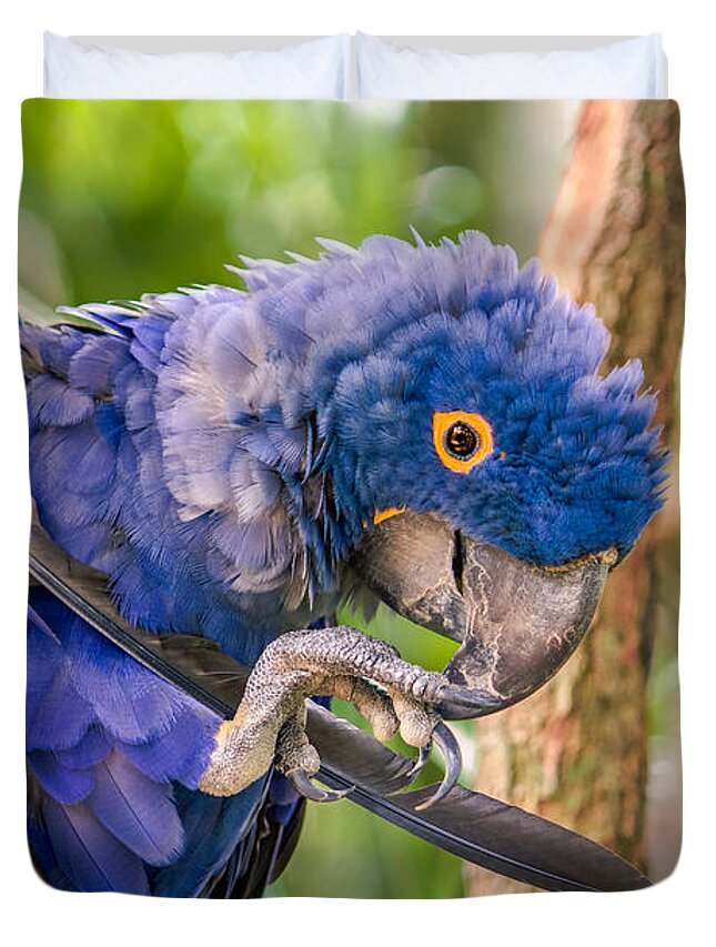 Hyacinth Macaw Duvet Cover featuring the photograph Hyacinth Macaw by Traveler's Pics