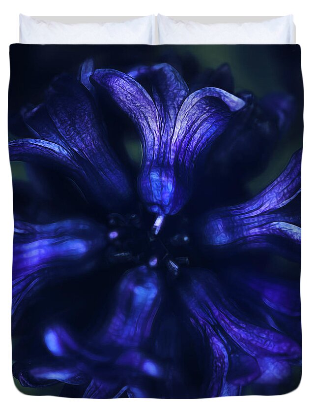 Bloom Duvet Cover featuring the photograph Hyacinth by Robert FERD Frank
