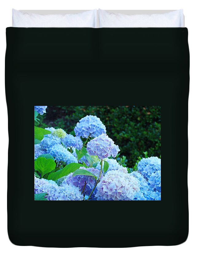 Landscape Duvet Cover featuring the photograph Hydrangea Garden Landscape art prints Baslee Troutman by Patti Baslee