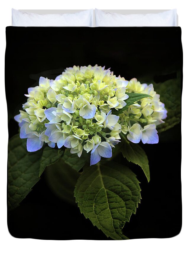 Hydrangea Duvet Cover featuring the photograph Hydrangea in Bloom by Jessica Jenney
