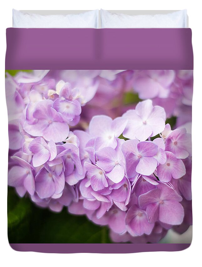 Hydrangea Duvet Cover featuring the photograph Hydrangea in Purple by Parker Cunningham
