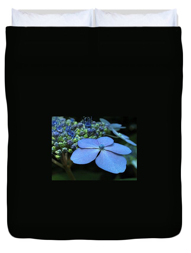 Flower Duvet Cover featuring the photograph Hydrangea by Juergen Roth