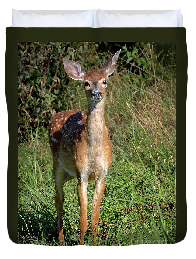 Deer Duvet Cover featuring the photograph I See You by Amy Porter