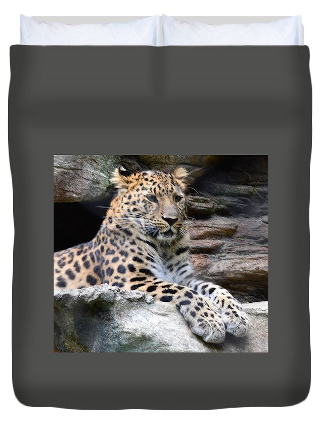 Animals Duvet Cover featuring the photograph I See You by Charles HALL