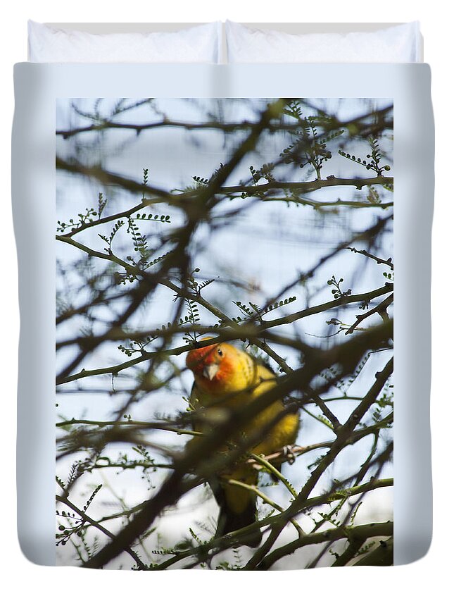 Western Tanager.thraupidae Duvet Cover featuring the photograph I See You by Daniel Hebard
