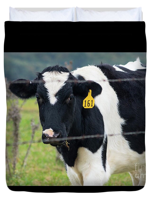 Cow Duvet Cover featuring the photograph I See You by Jennifer White