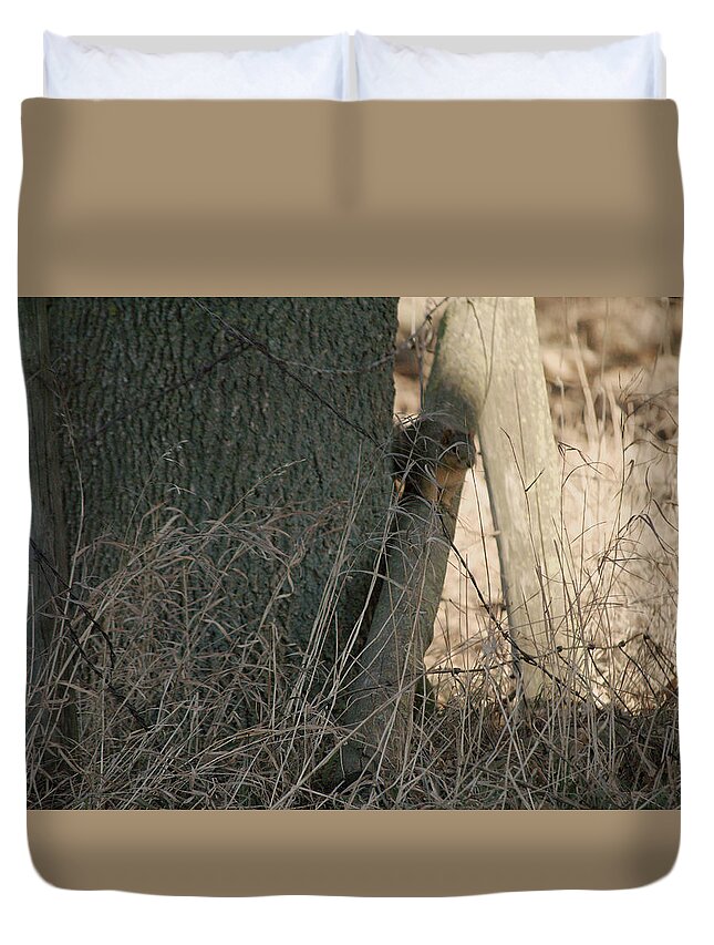 Squirrel Duvet Cover featuring the photograph I see you by Troy Stapek