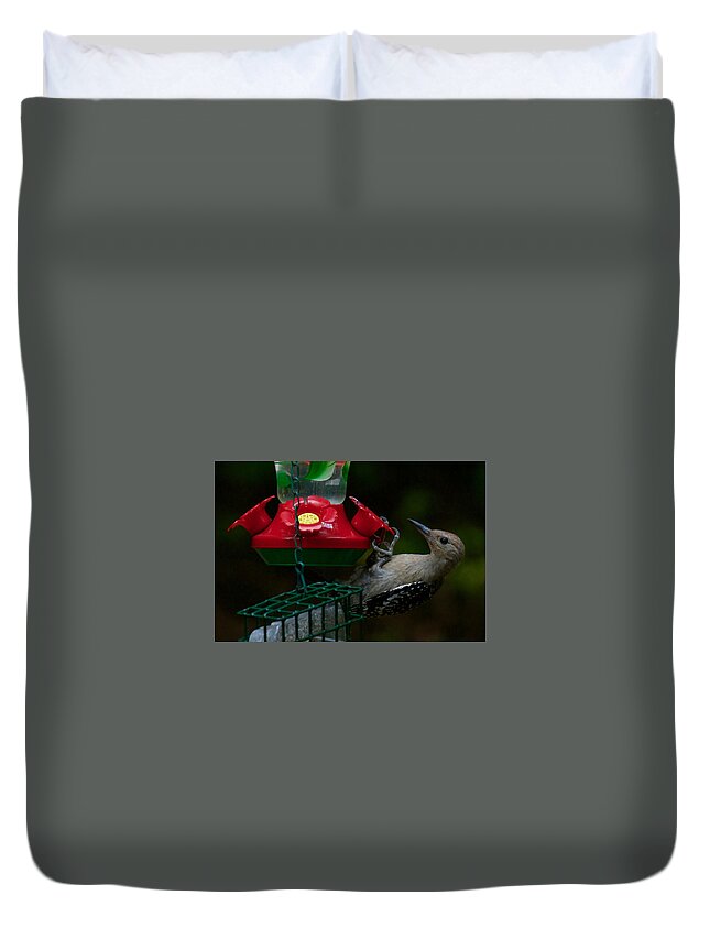 Red Duvet Cover featuring the photograph I want to be a hummingbird by Robert L Jackson