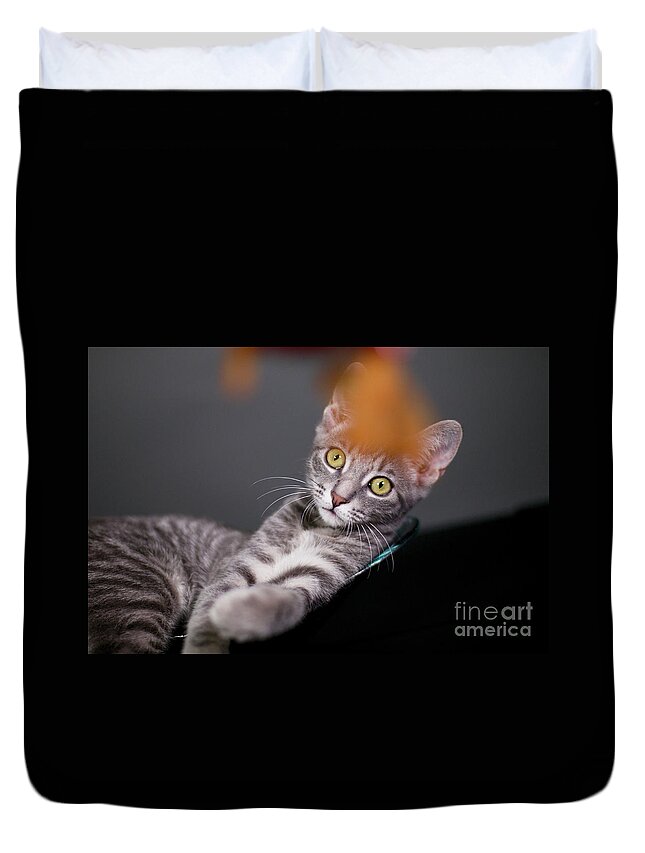 Digital Photography Duvet Cover featuring the photograph I will get it by Afrodita Ellerman