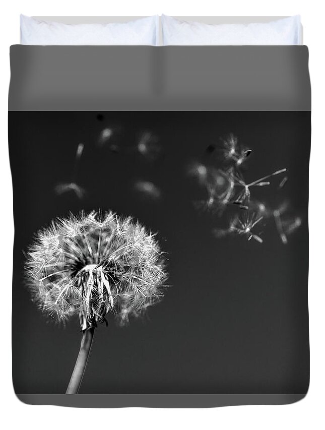 Dandelion Duvet Cover featuring the photograph I Wish I May I Wish I Might Love You by Scott Campbell