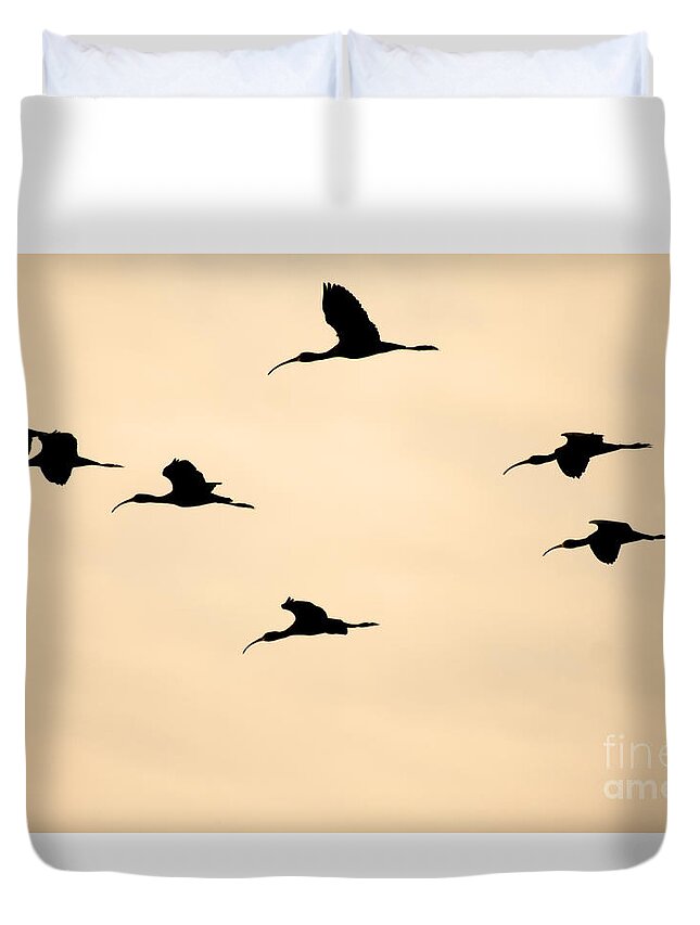 Ibis Duvet Cover featuring the photograph Ibis in the Skies by Ruth Jolly