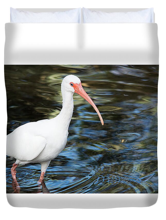 Wildlife Duvet Cover featuring the photograph Ibis In The Swamp by Kenneth Albin