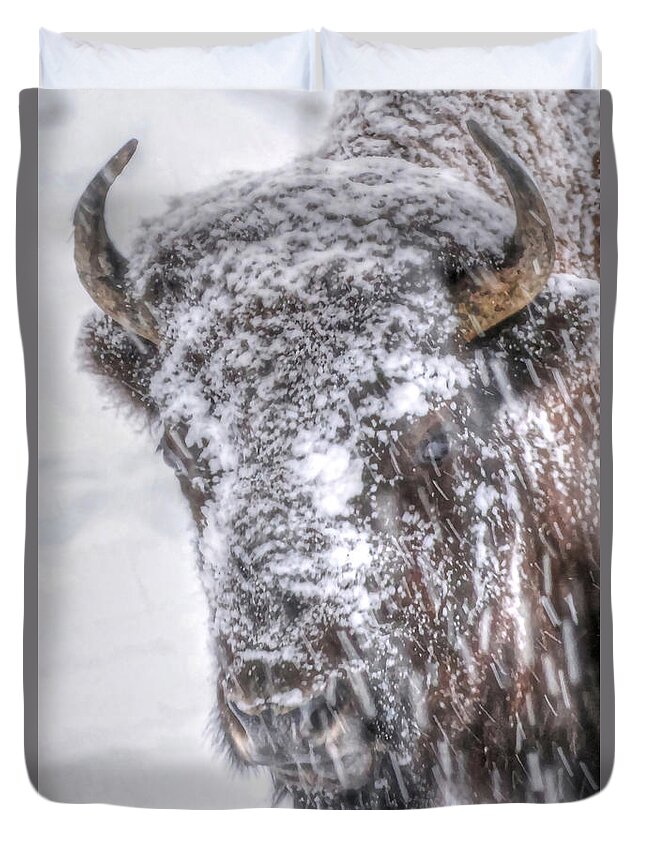 Yellowstone National Park Duvet Cover featuring the photograph Ice Faced by Don Mercer