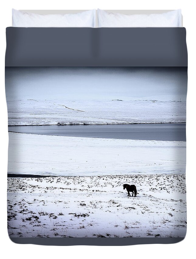Iceland Duvet Cover featuring the photograph Icelandic Horse by Peter OReilly