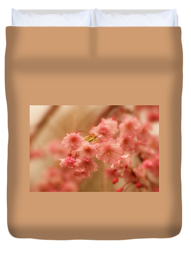 Cherry Blossom Trees Duvet Cover featuring the photograph If Only For A Moment by Angie Tirado