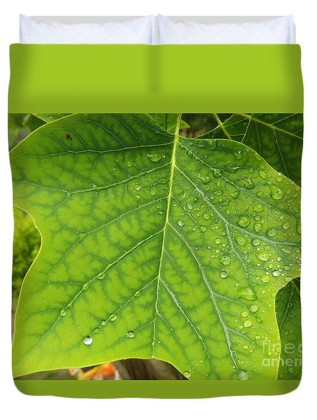 Nature Duvet Cover featuring the photograph If You Leaf Me Now by Lingfai Leung