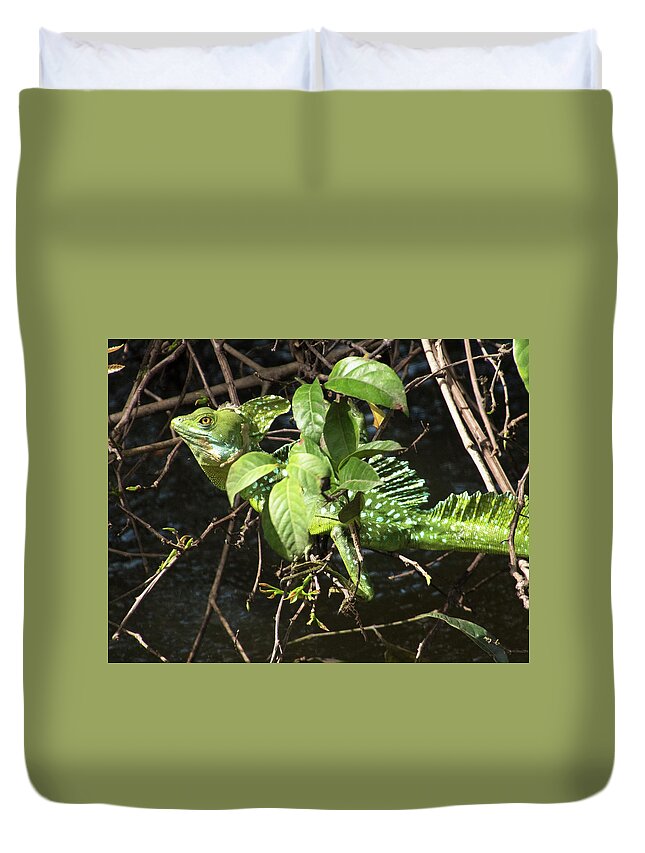 Iguana Duvet Cover featuring the photograph Iguana - Green by Jessica Levant