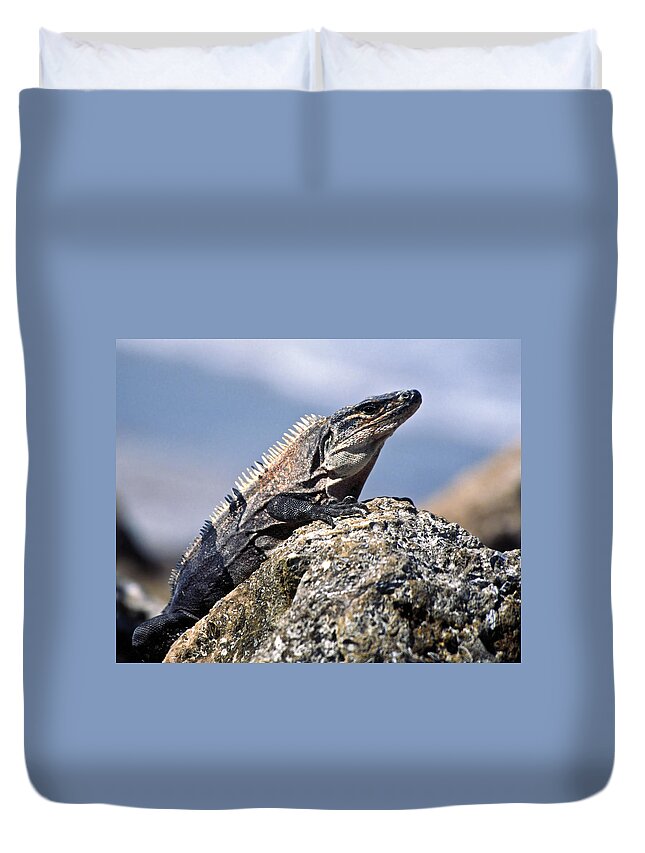 Iguana Duvet Cover featuring the photograph Iguana by Sally Weigand