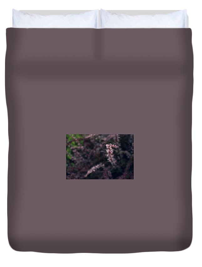 Plants Duvet Cover featuring the photograph Rise by Gene Garnace